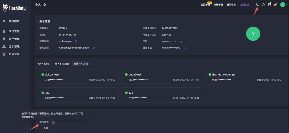 English UI settings